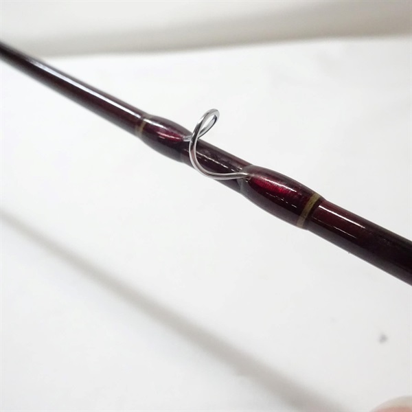 スーパーパルサーＺ３０ＴＣＦＺ－８０４０Ｔ